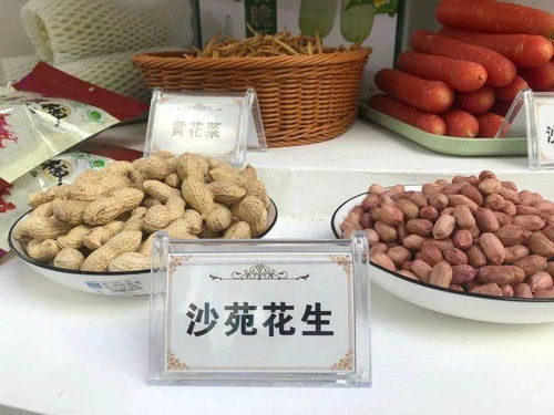 我縣組團(tuán)參展農(nóng)高會 特色果品與創(chuàng)新電子產(chǎn)品雙星閃耀，吸引八方客商